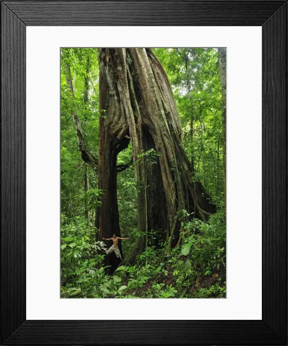Framed Print : Picture No. 10909343 Framed Print : Picture No. 10909343