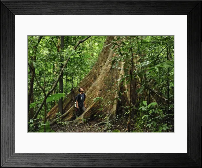 Framed Print : Picture No. 10909323 Framed Print : Picture No. 10909323