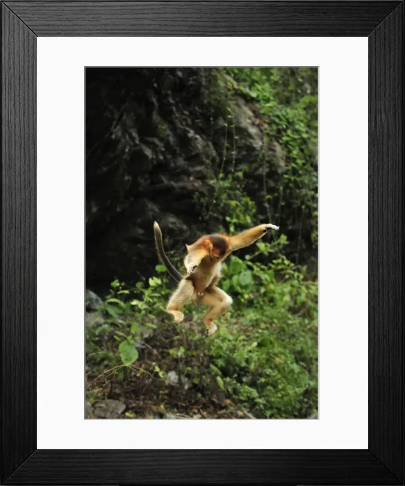 Framed Print : Picture No. 10909541 Framed Print : Picture No. 10909541
