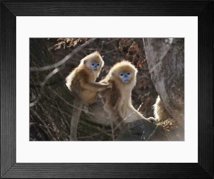 Framed Print : Picture No. 10909580