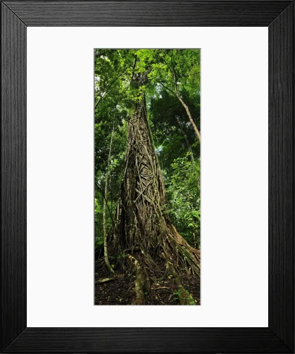 Framed Print : Picture No. 10909327 Framed Print : Picture No. 10909327