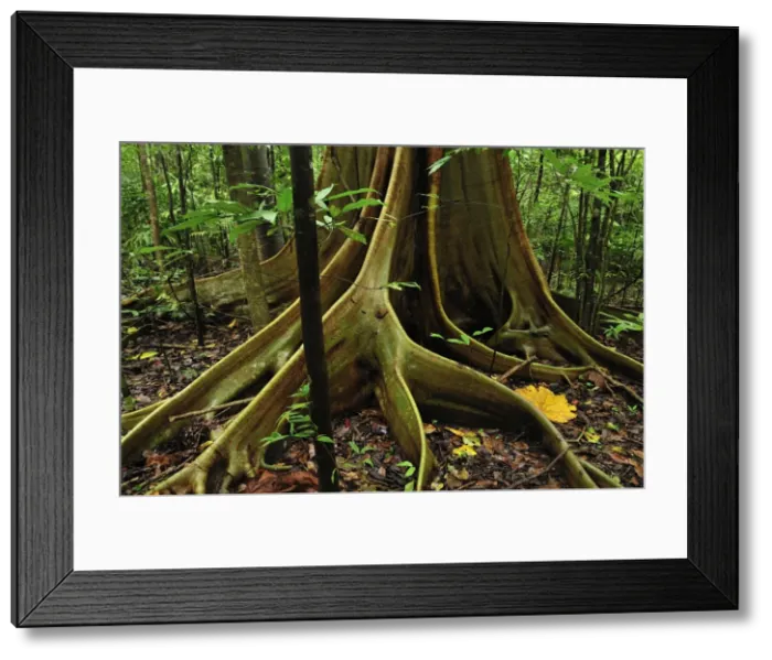 Framed Print : Picture No. 10909316 Framed Print : Picture No. 10909316