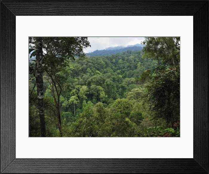 Framed Print : Picture No. 10909352 Framed Print : Picture No. 10909352