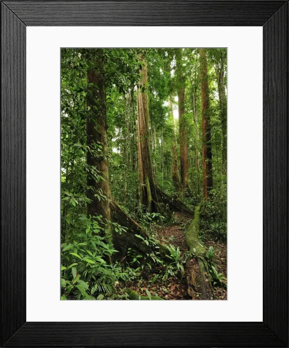 Framed Print : Picture No. 10909340 Framed Print : Picture No. 10909340