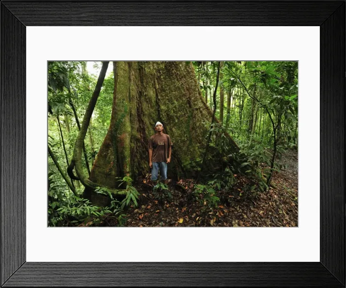 Framed Print : Picture No. 10909339 Framed Print : Picture No. 10909339