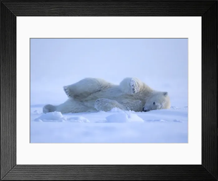 Framed Print : Picture No. 10901627 Framed Print : Picture No. 10901627