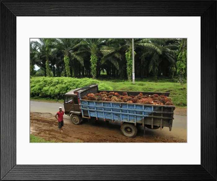 Framed Print : Picture No. 10909329 Framed Print : Picture No. 10909329