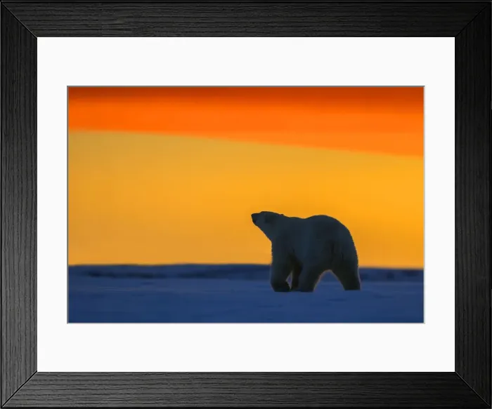 Framed Print : Picture No. 10901649 Framed Print : Picture No. 10901649