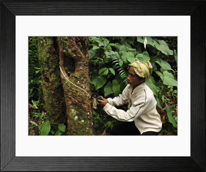 Framed Print : Picture No. 10909337 Framed Print : Picture No. 10909337
