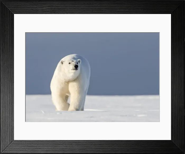 Framed Print : Picture No. 10901642 Framed Print : Picture No. 10901642