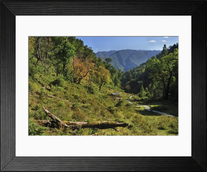 Framed Print : Picture No. 10909571 Framed Print : Picture No. 10909571