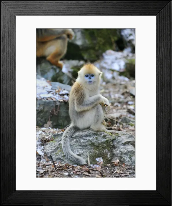 Framed Print : Picture No. 10909586 Framed Print : Picture No. 10909586