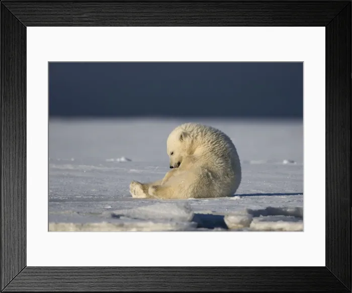 Framed Print : Picture No. 10901638 Framed Print : Picture No. 10901638