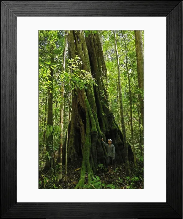 Framed Print : Picture No. 10909304 Framed Print : Picture No. 10909304