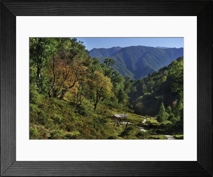 Framed Print : Picture No. 10909572 Framed Print : Picture No. 10909572