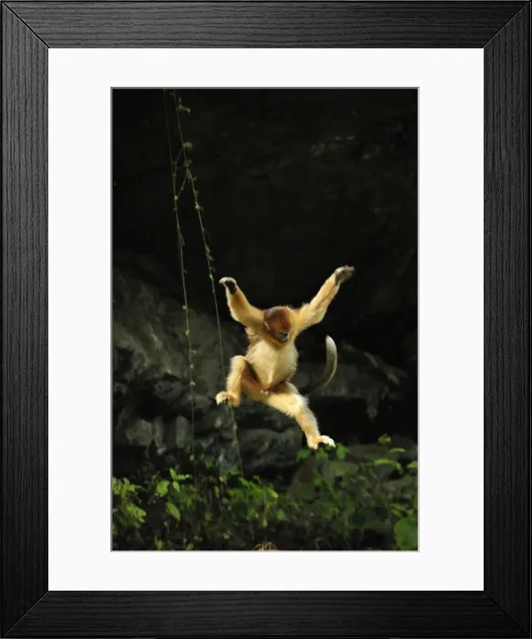 Framed Print : Picture No. 10909524 Framed Print : Picture No. 10909524