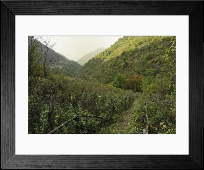 Framed Print : Picture No. 10909531 Framed Print : Picture No. 10909531