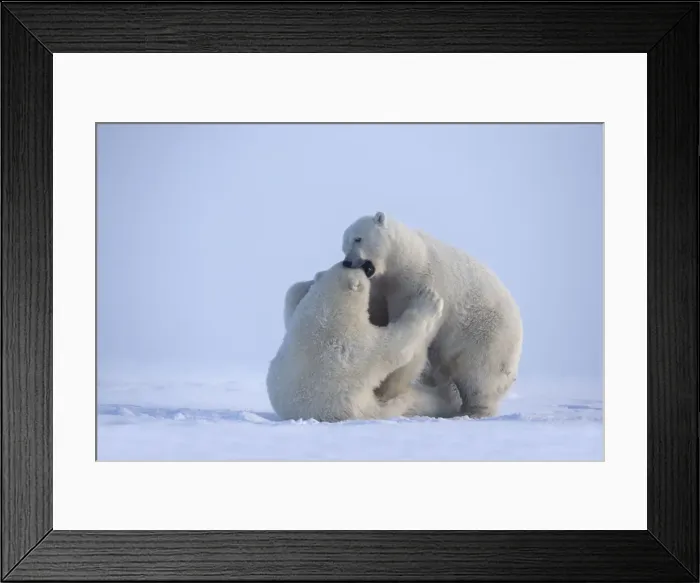 Framed Print : Picture No. 10901629 Framed Print : Picture No. 10901629