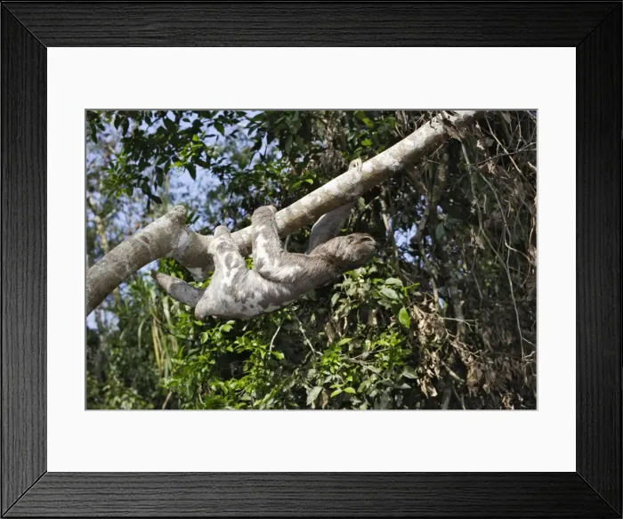 Framed Print : Picture No. 10922262 Framed Print : Picture No. 10922262