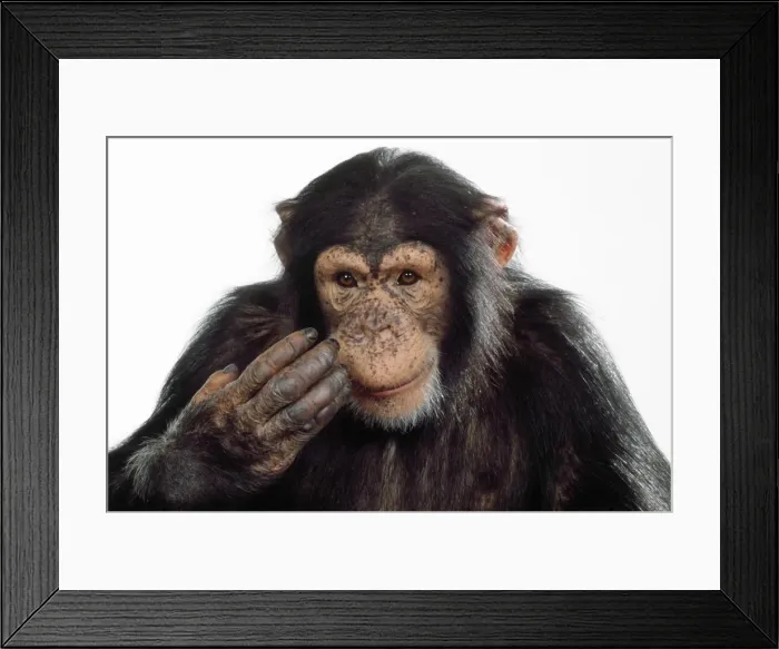 Framed Print : Picture No. 10922517 Framed Print : Picture No. 10922517