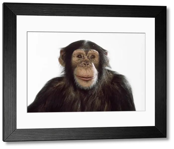 Framed Print : Picture No. 10922519 Framed Print : Picture No. 10922519