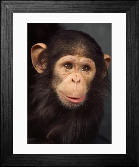 Framed Print : Picture No. 10922522 Framed Print : Picture No. 10922522