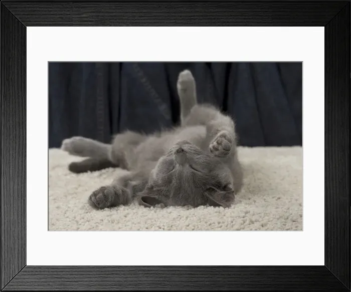 Framed Print : Picture No. 10922477 Framed Print : Picture No. 10922477