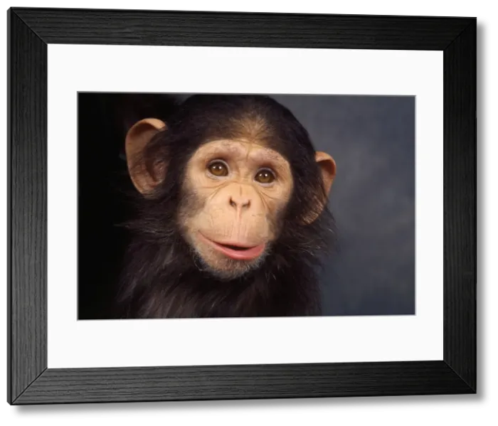 Framed Print : Picture No. 10922521 Framed Print : Picture No. 10922521