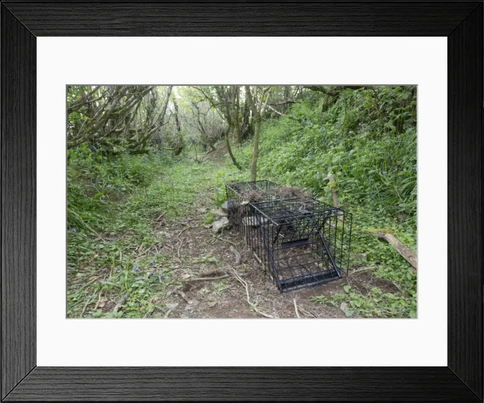 Framed Print : Picture No. 10946874 Framed Print : Picture No. 10946874