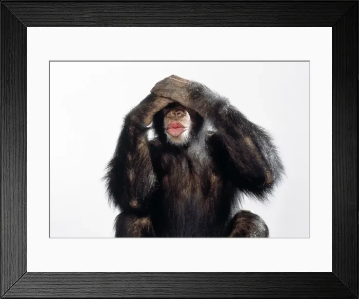 Framed Print : Picture No. 10922514 Framed Print : Picture No. 10922514