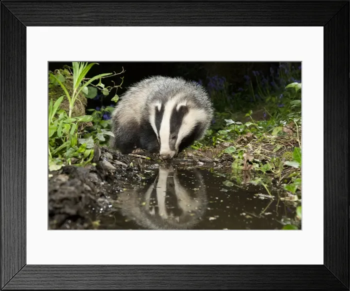Framed Print : Picture No. 10946875 Framed Print : Picture No. 10946875