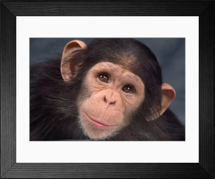 Framed Print : Picture No. 10922520 Framed Print : Picture No. 10922520