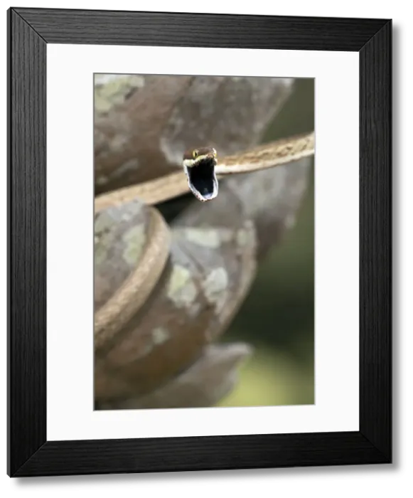 Framed Print : Picture No. 10946841 Framed Print : Picture No. 10946841