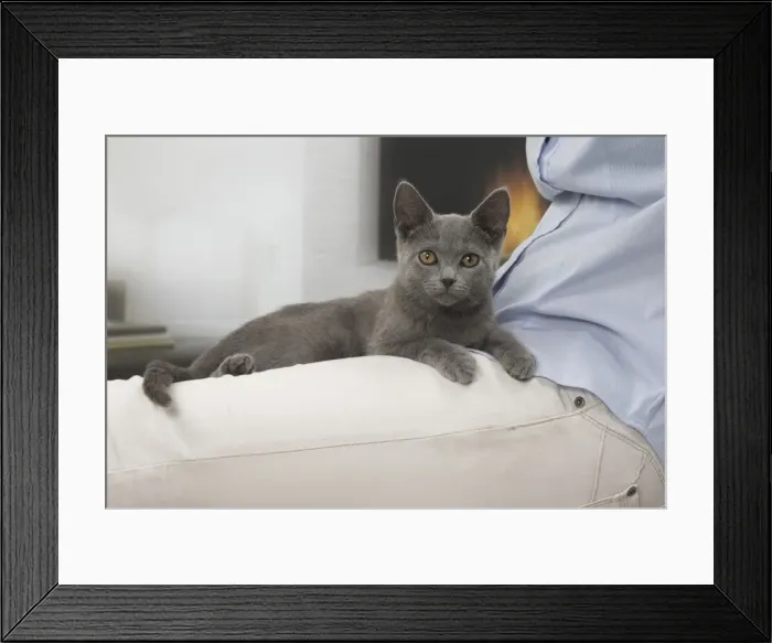 Framed Print : Picture No. 10922481 Framed Print : Picture No. 10922481
