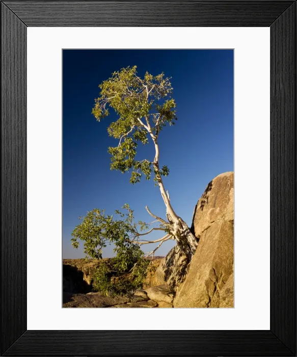 Framed Print : Picture No. 10922232 Framed Print : Picture No. 10922232