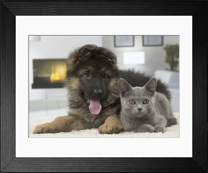 Framed Print : Picture No. 10922478 Framed Print : Picture No. 10922478
