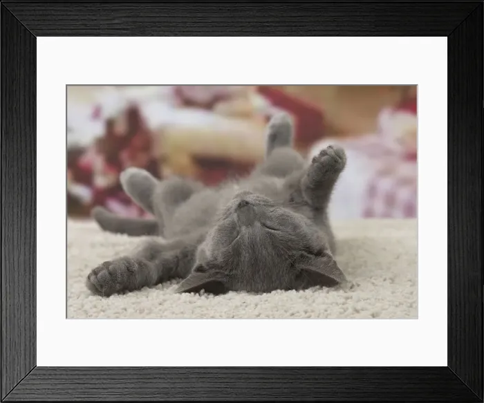 Framed Print : Picture No. 10922476 Framed Print : Picture No. 10922476