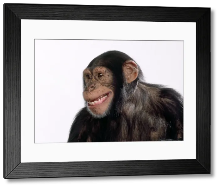 Framed Print : Picture No. 10922515 Framed Print : Picture No. 10922515