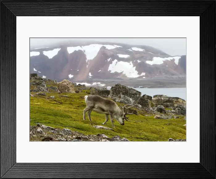 Framed Print : Picture No. 10922259