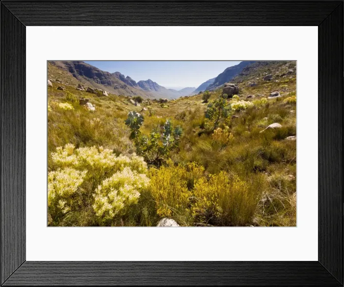 Framed Print : Picture No. 10922237 Framed Print : Picture No. 10922237