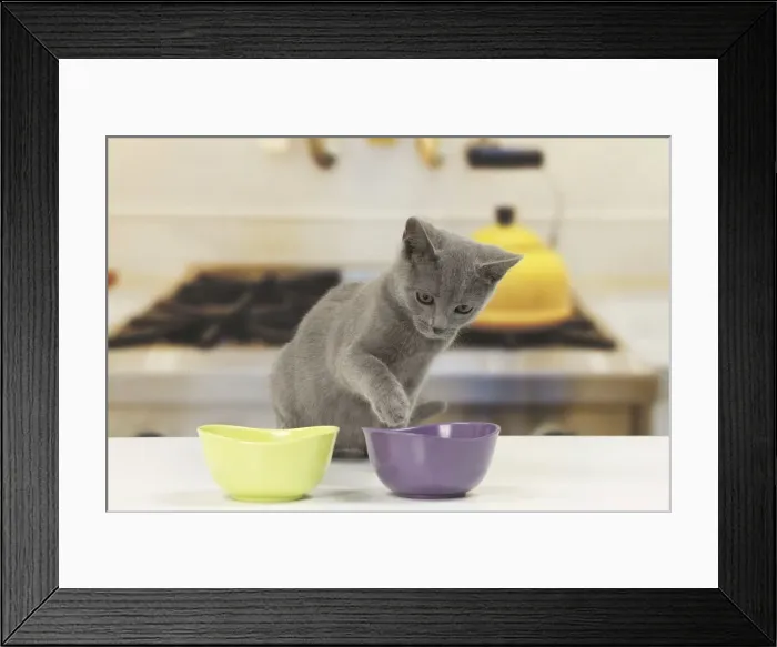 Framed Print : Picture No. 10922490 Framed Print : Picture No. 10922490