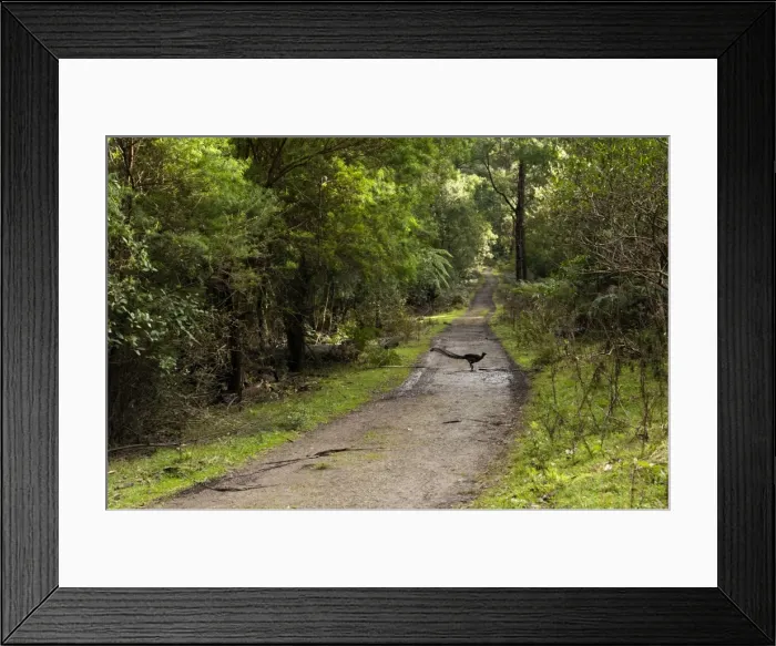 Framed Print : Picture No. 10947427 Framed Print : Picture No. 10947427