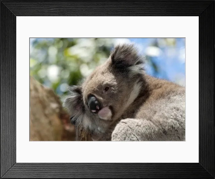 Framed Print : Picture No. 10947520