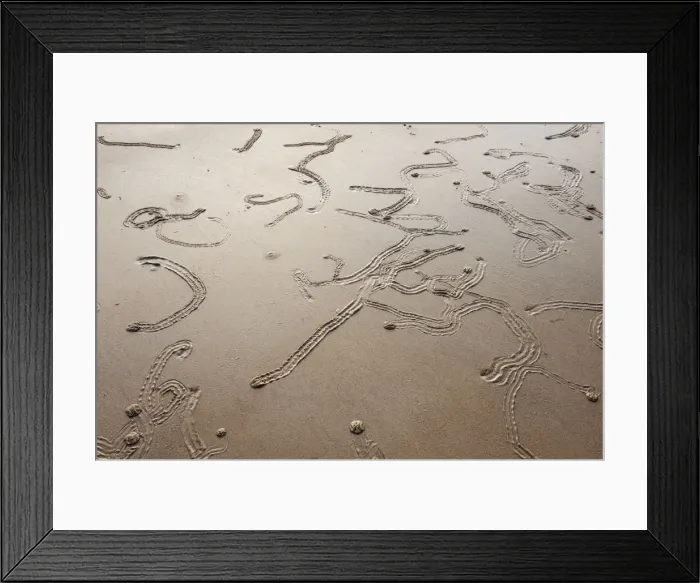 Framed Print : Picture No. 10947454 Framed Print : Picture No. 10947454