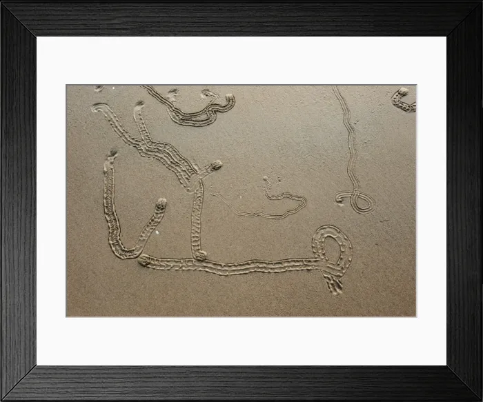 Framed Print : Picture No. 10947452 Framed Print : Picture No. 10947452