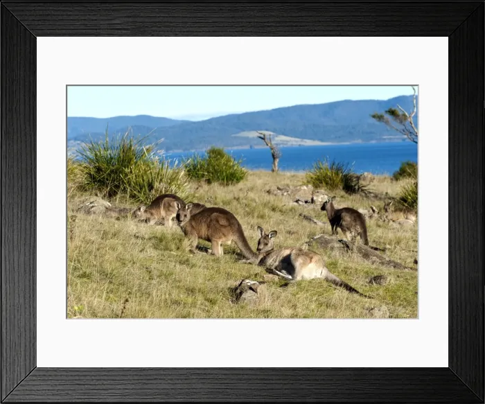 Framed Print : Picture No. 10947513 Framed Print : Picture No. 10947513