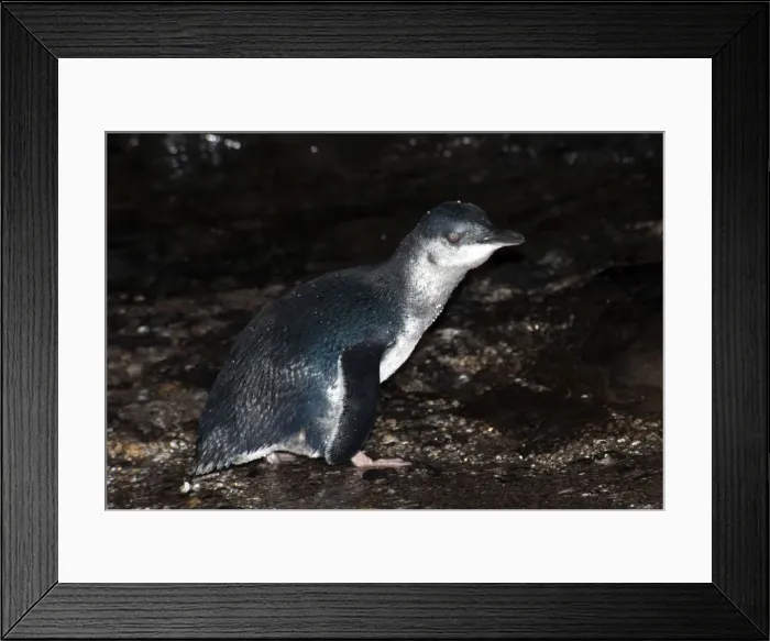 Framed Print : Picture No. 10947447 Framed Print : Picture No. 10947447