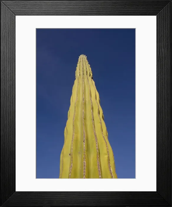 Framed Print : Picture No. 10947705 Framed Print : Picture No. 10947705