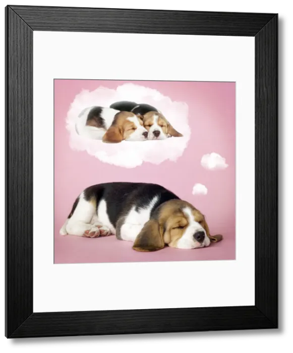 Framed Print : Picture No. 10947872 Framed Print : Picture No. 10947872