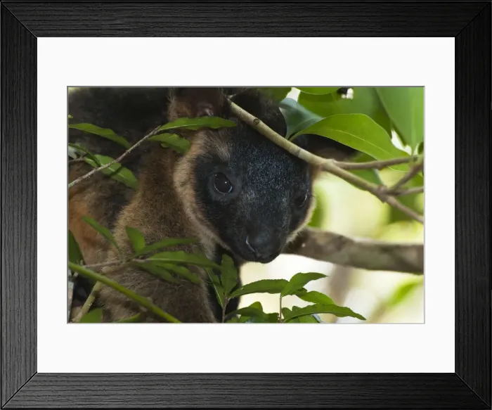 Framed Print : Picture No. 10947496